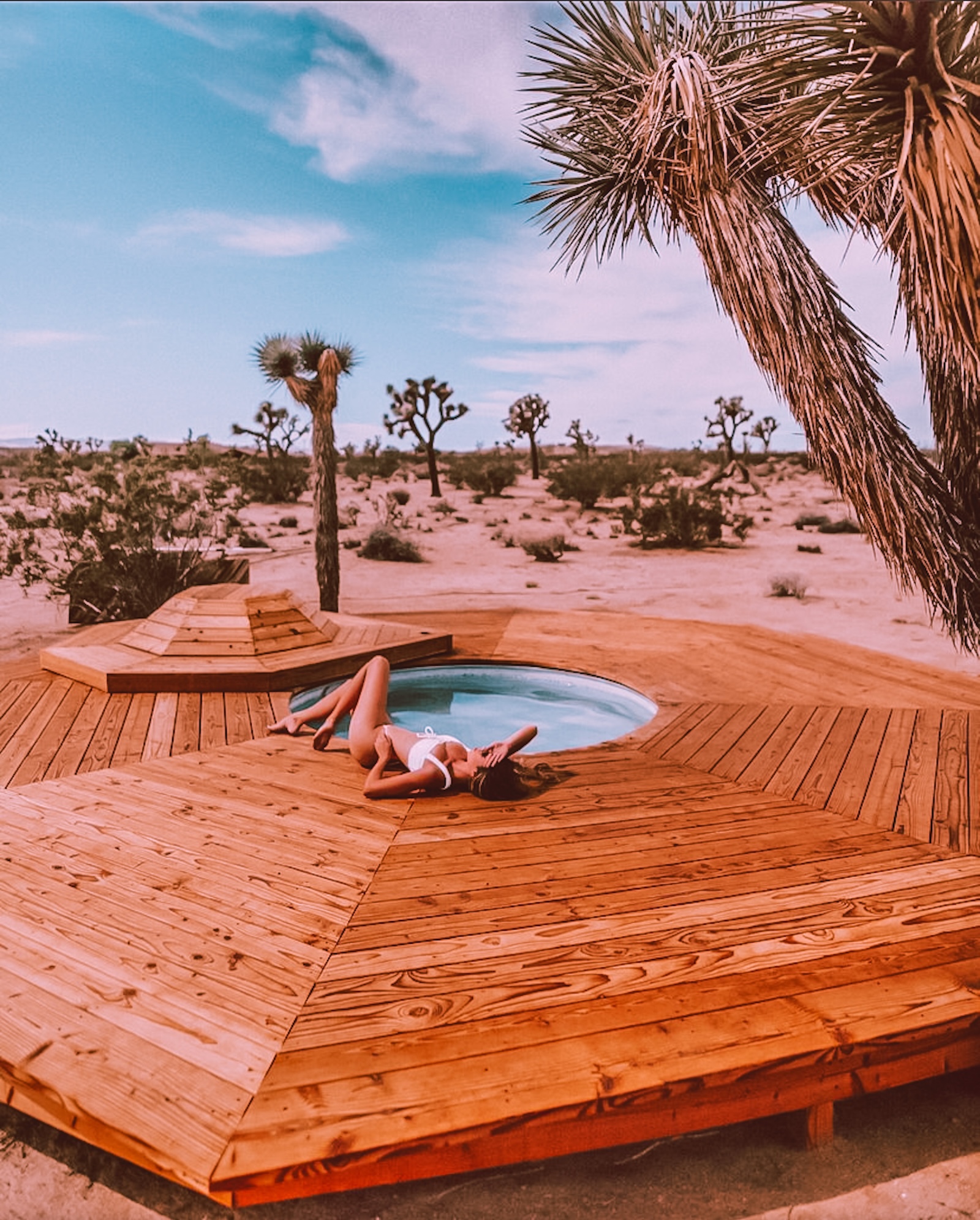 Outdoor jacuzzi with joshua trees