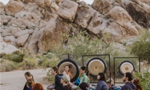 why joshua tree